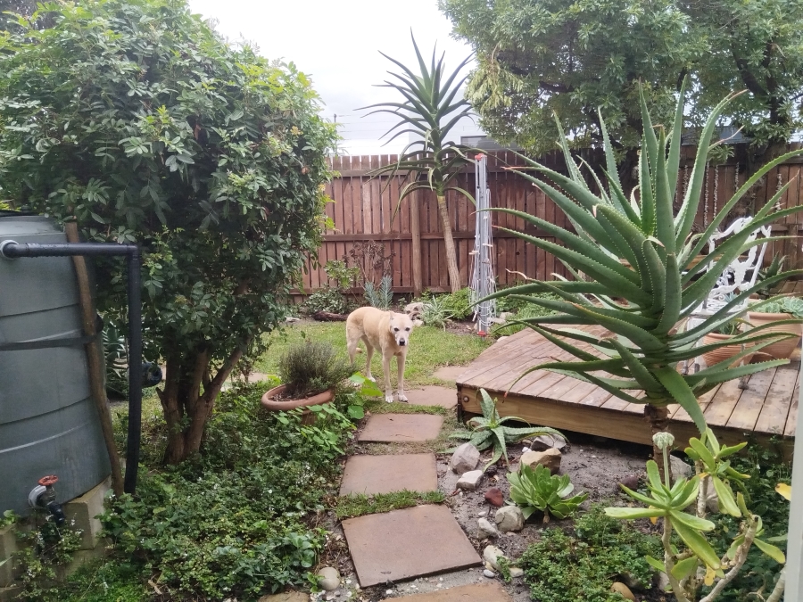 To Let 1 Bedroom Property for Rent in Kommetjie Western Cape